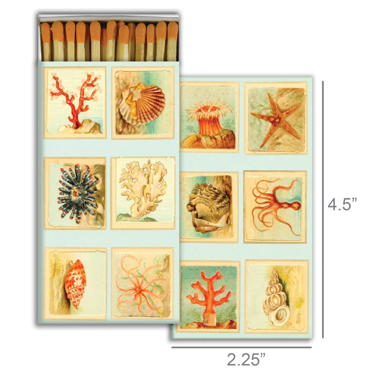 Matches - Mollusks, Coral, Seastars  HomArt   