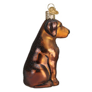 Chocolate Labrador Ornament  Old World Christmas   