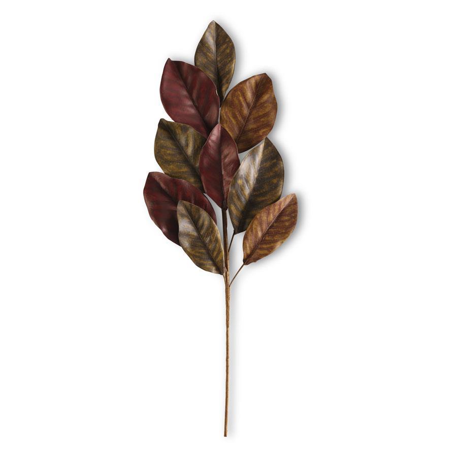 Brown Magnolia Leaf Stem  K&K   