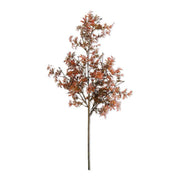 Fall Japanese Maple Stem  K&K   