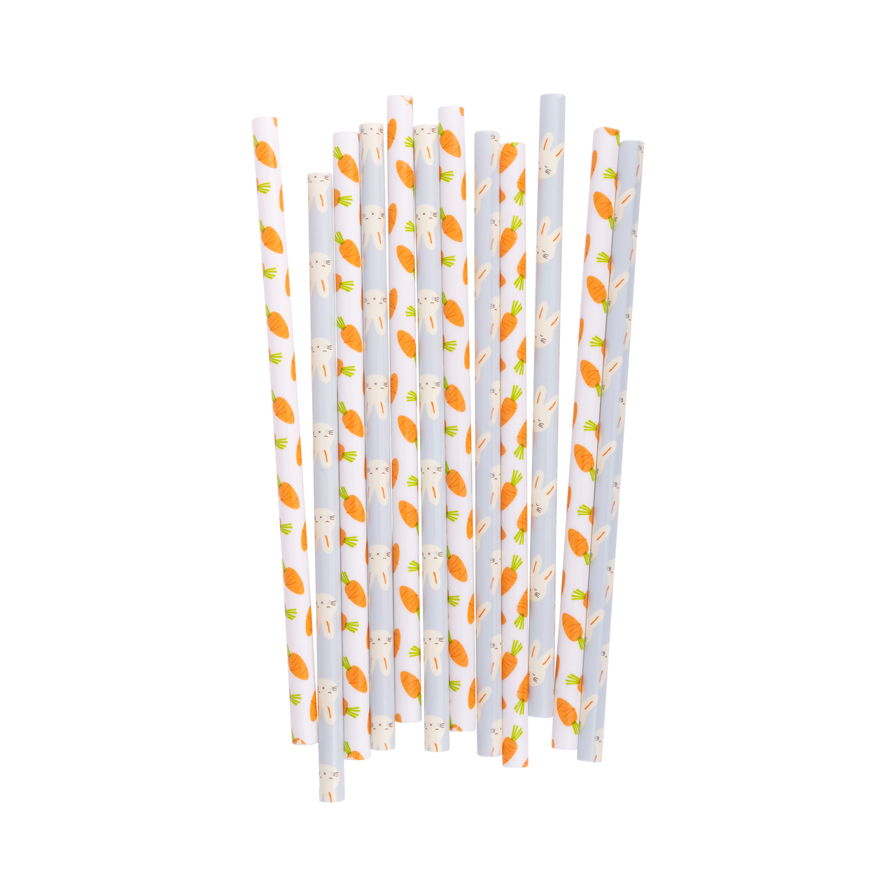 Bunny/Carrot Reusable Straws  My Mind’s Eye   