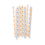 Bunny/Carrot Reusable Straws  My Mind’s Eye   