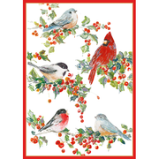 Winter Birds And Holly - Boxed Holiday Cards  Caspari   