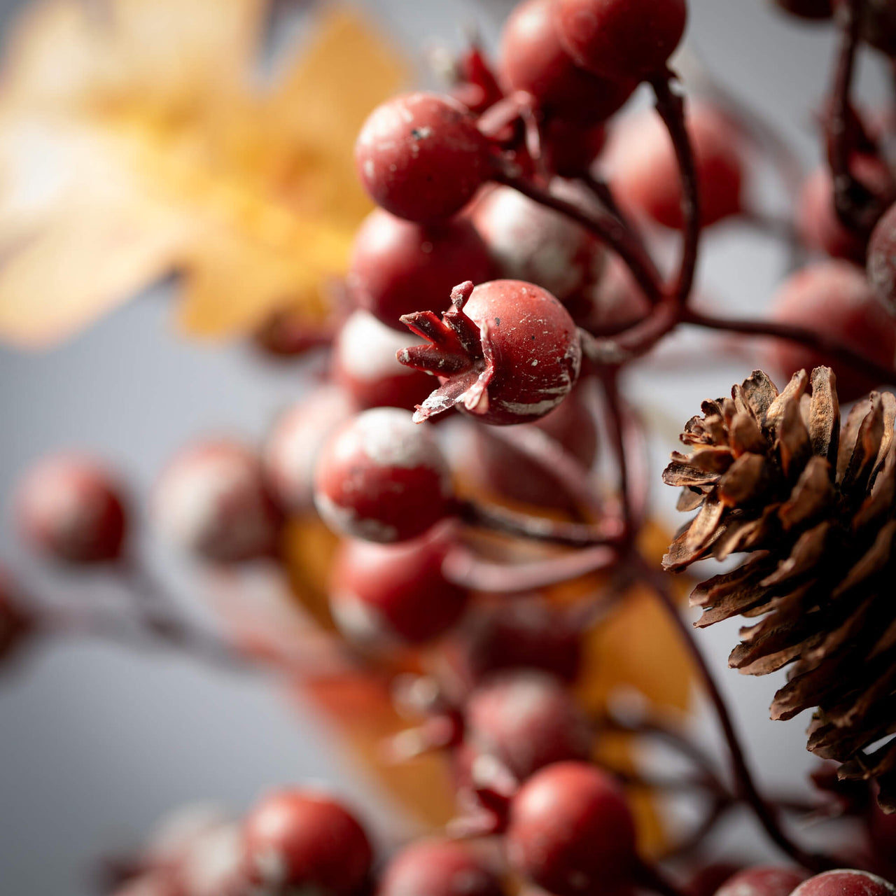 Berry/Leaf Ring  Sullivans   