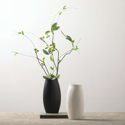 Textured White Ribbed Vase  Sullivans   