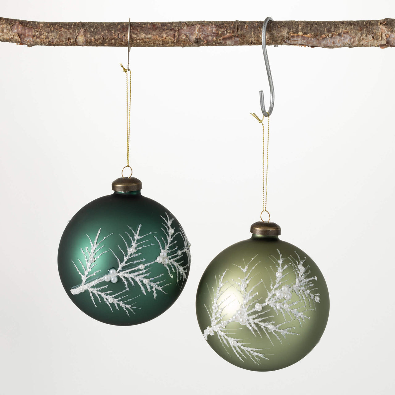 Botanical Ornament - Greens  Sullivans   