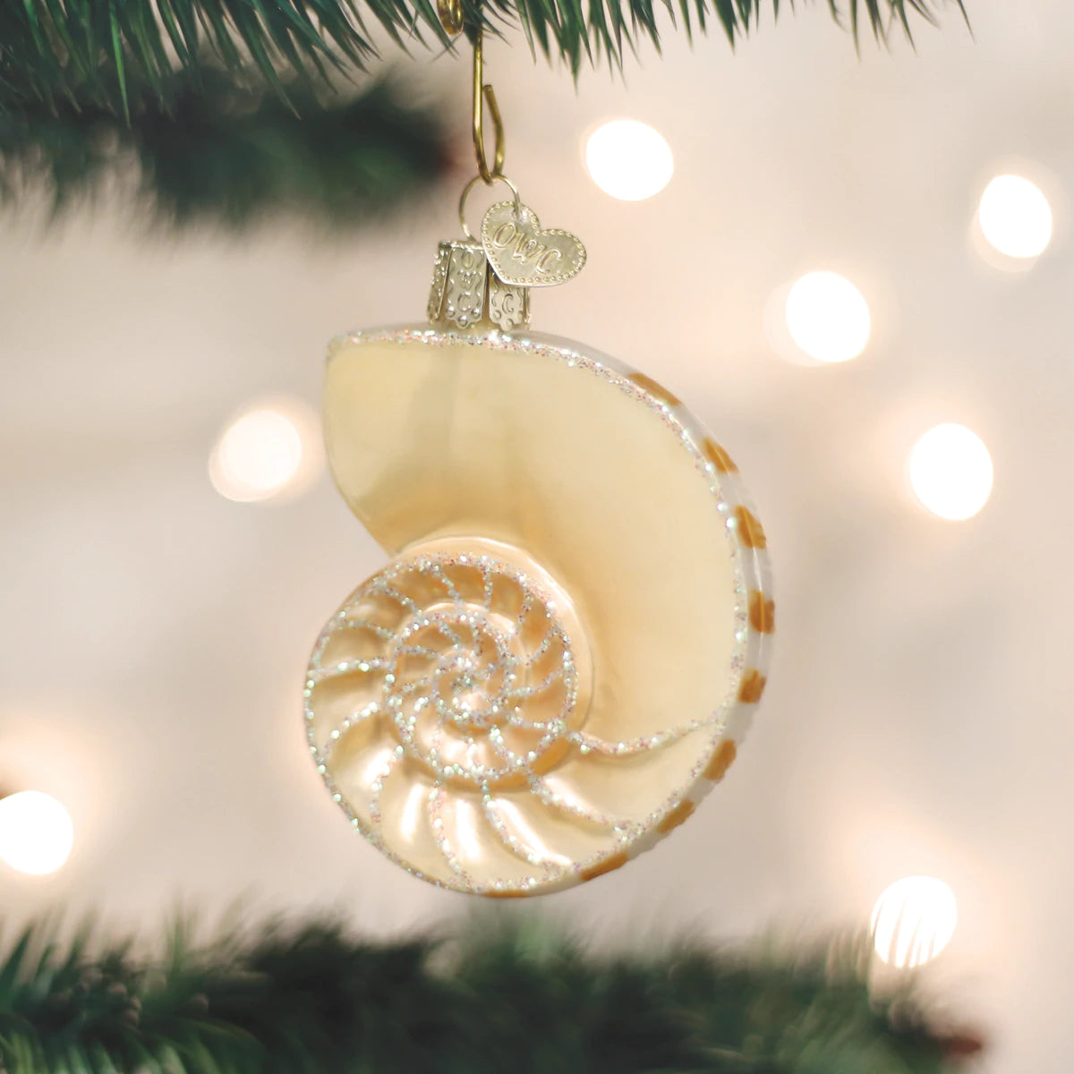 Nautilus Shell Ornament  Old World Christmas   