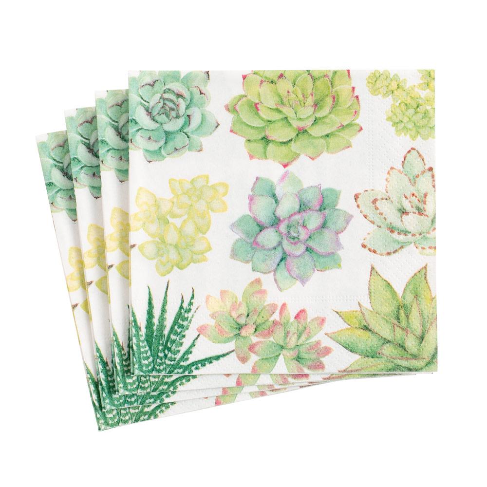 Cocktail Napkin - Succulents Paper Napkins Caspari   