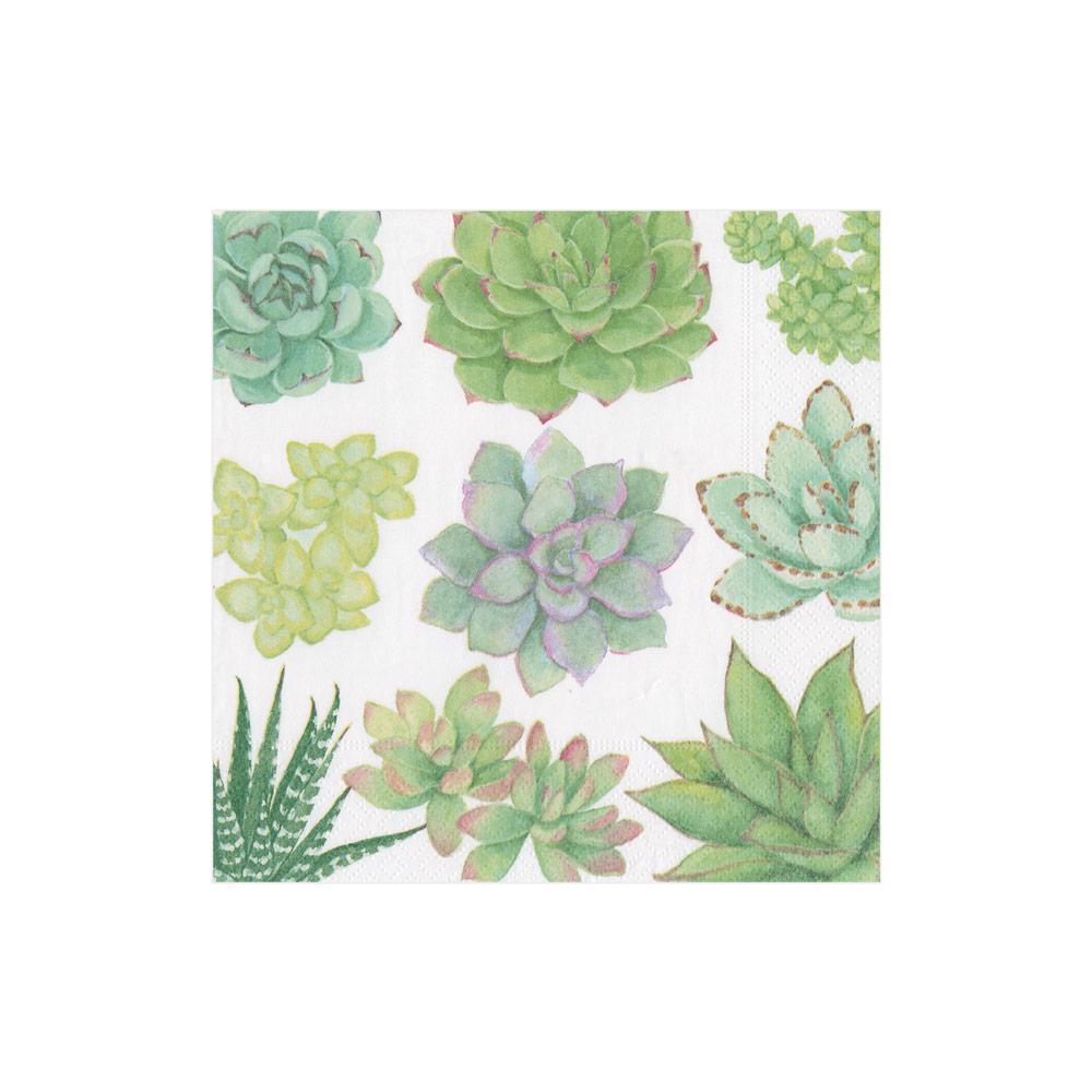 Cocktail Napkin - Succulents Paper Napkins Caspari   