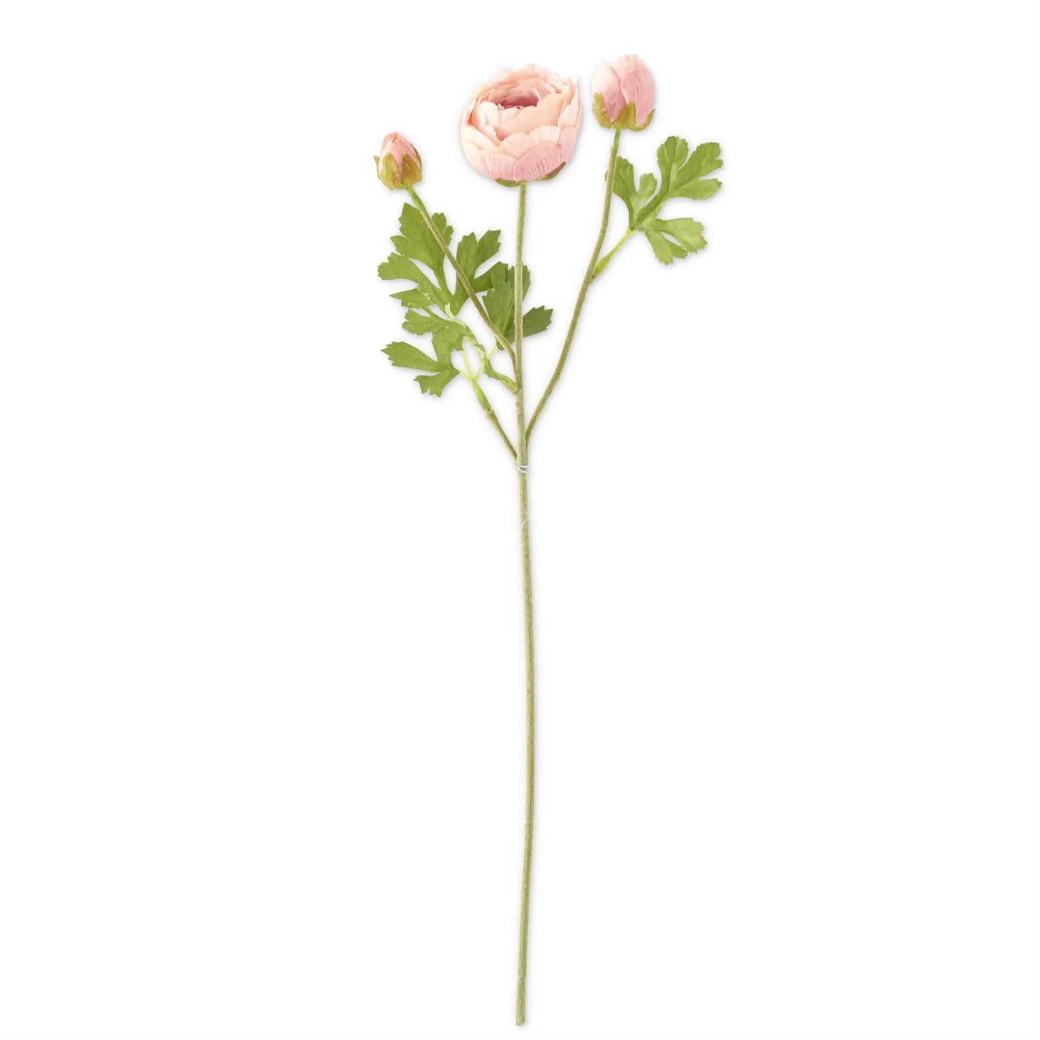 Real Touch 3 Head Ranunculus Stem - 23"  K&K Pink  