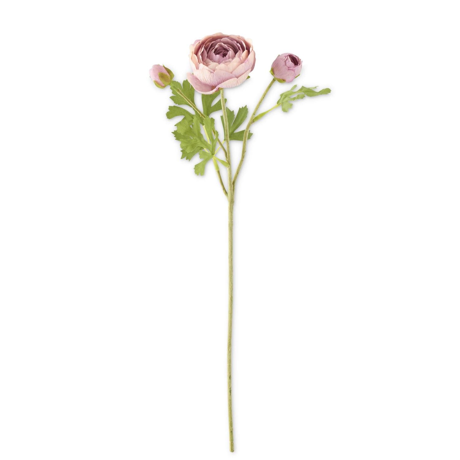 Real Touch 3 Head Ranunculus Stem - 23"  K&K Purple  