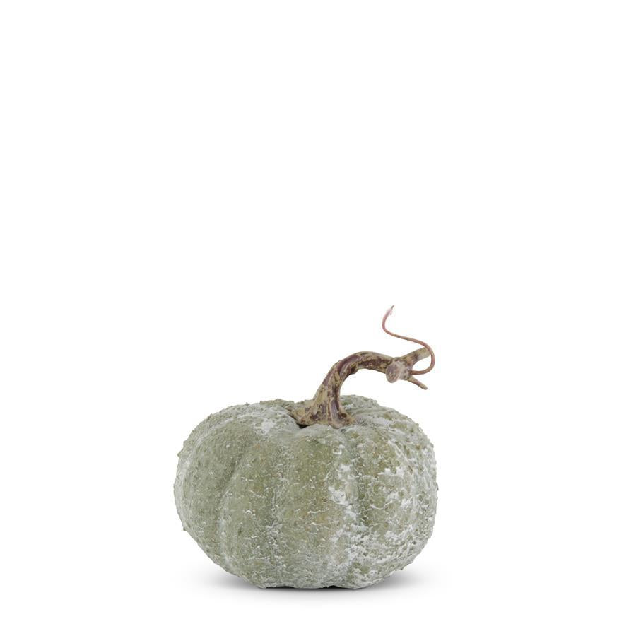 Green Whitewashed Pumpkin  K&K Small  