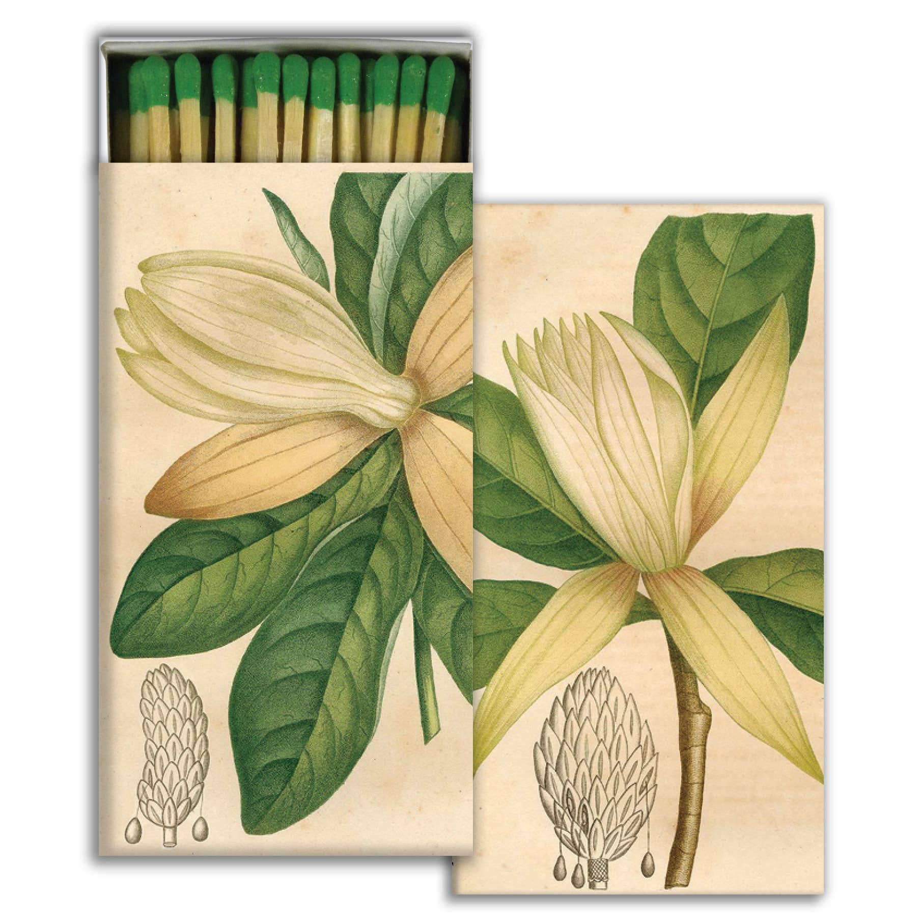 Matches - Magnolia  HomArt   