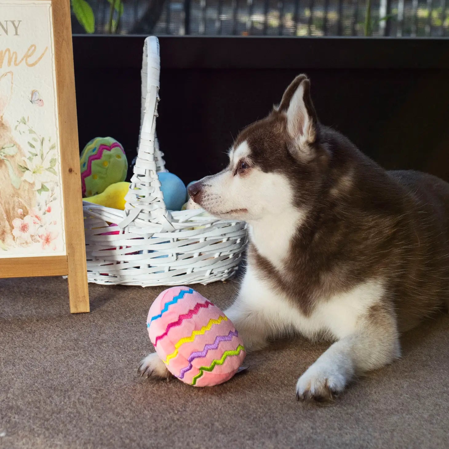 Easter Egg Plush Dog Toy - Pink  Midlee Designs   