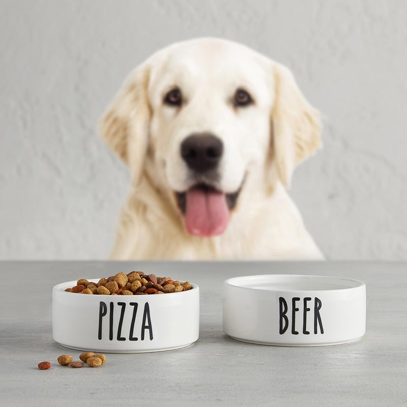 Beer Pet Bowl  Creative Brands   