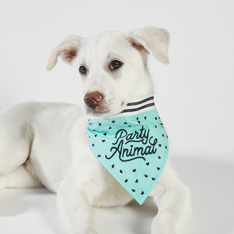 Pet Bandana - Party Animal  Creative Brands   