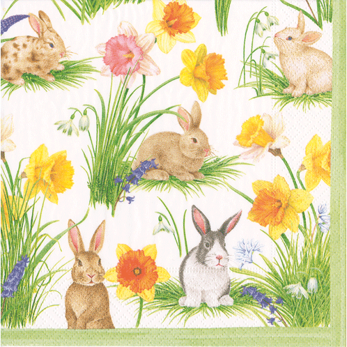 Cocktail Napkin - Bunnies And Daffodils Paper Napkins Caspari   