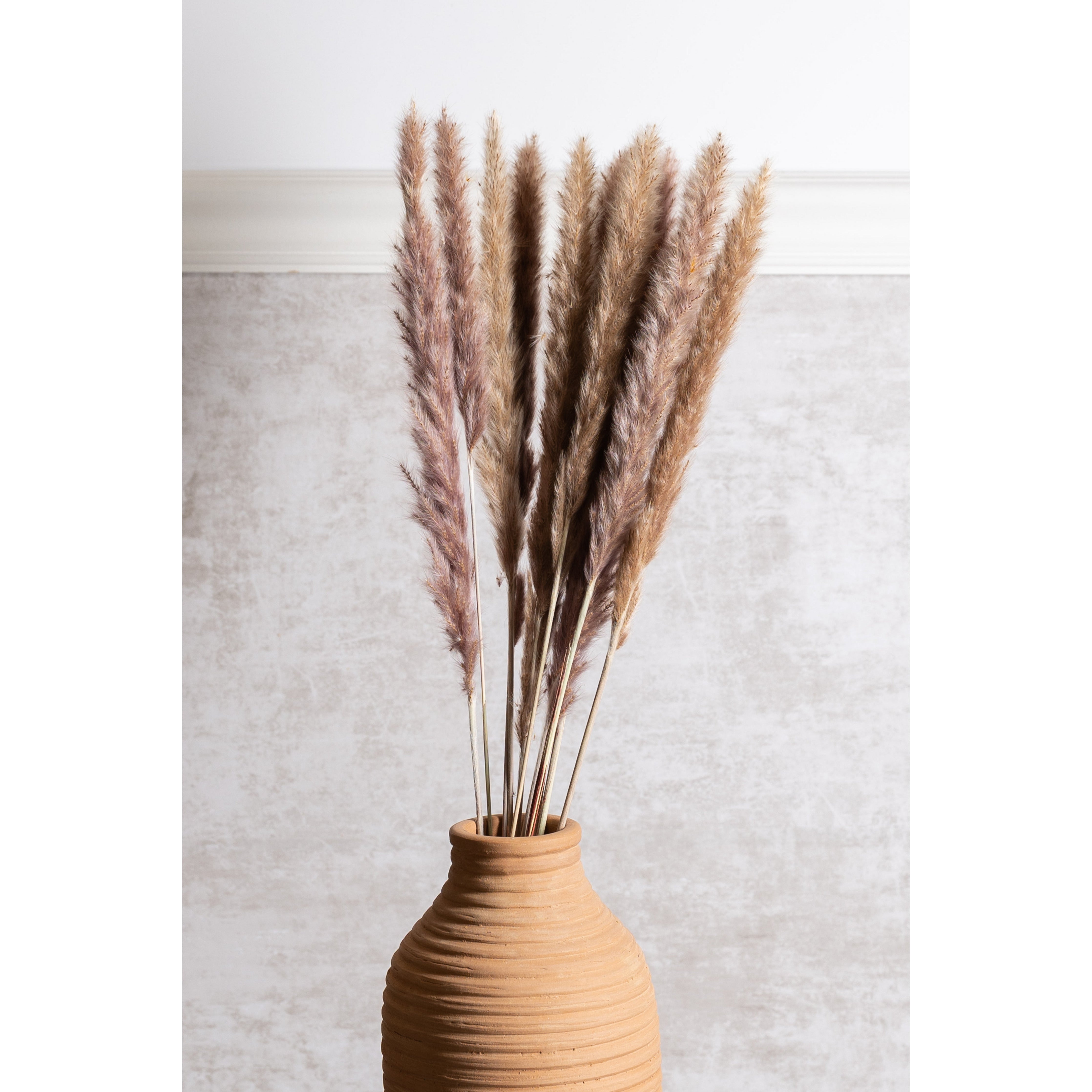 Tan Pampas Grass Bundle Dried Flowers K&K   