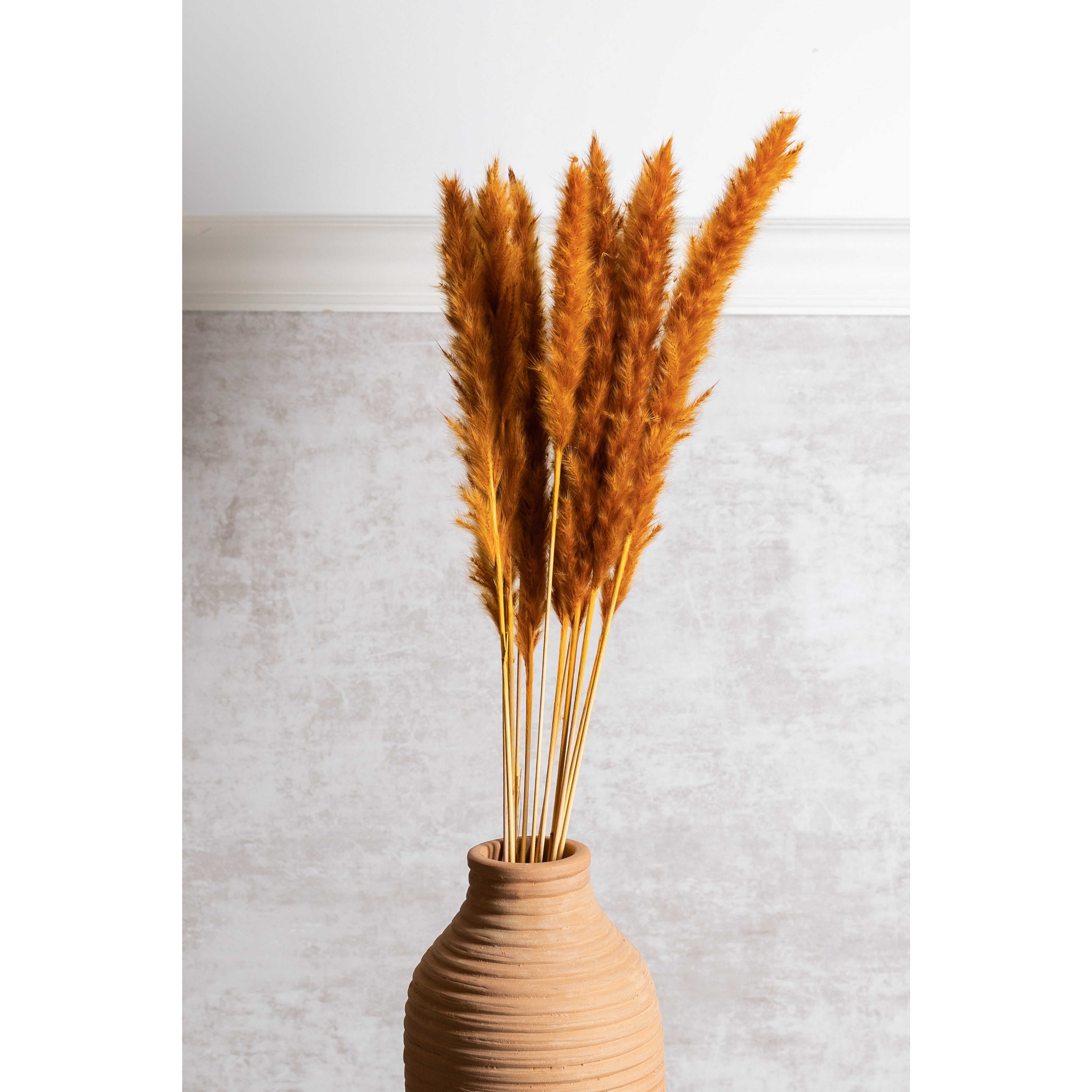 Orange Pampas Grass Bundle Dried Flowers K&K   