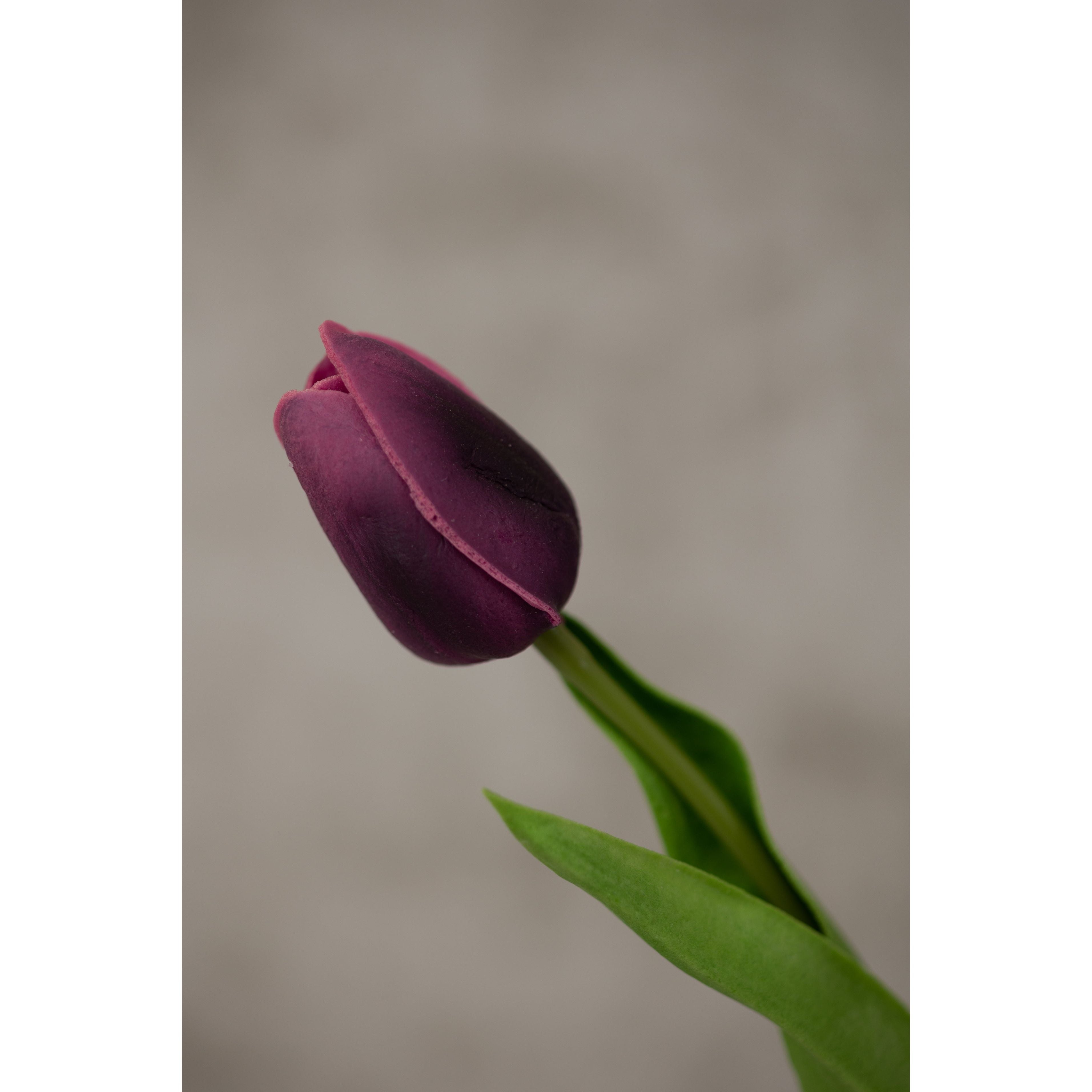 Real Touch Tulip 13.5” Artificial Flora K&K Purple  