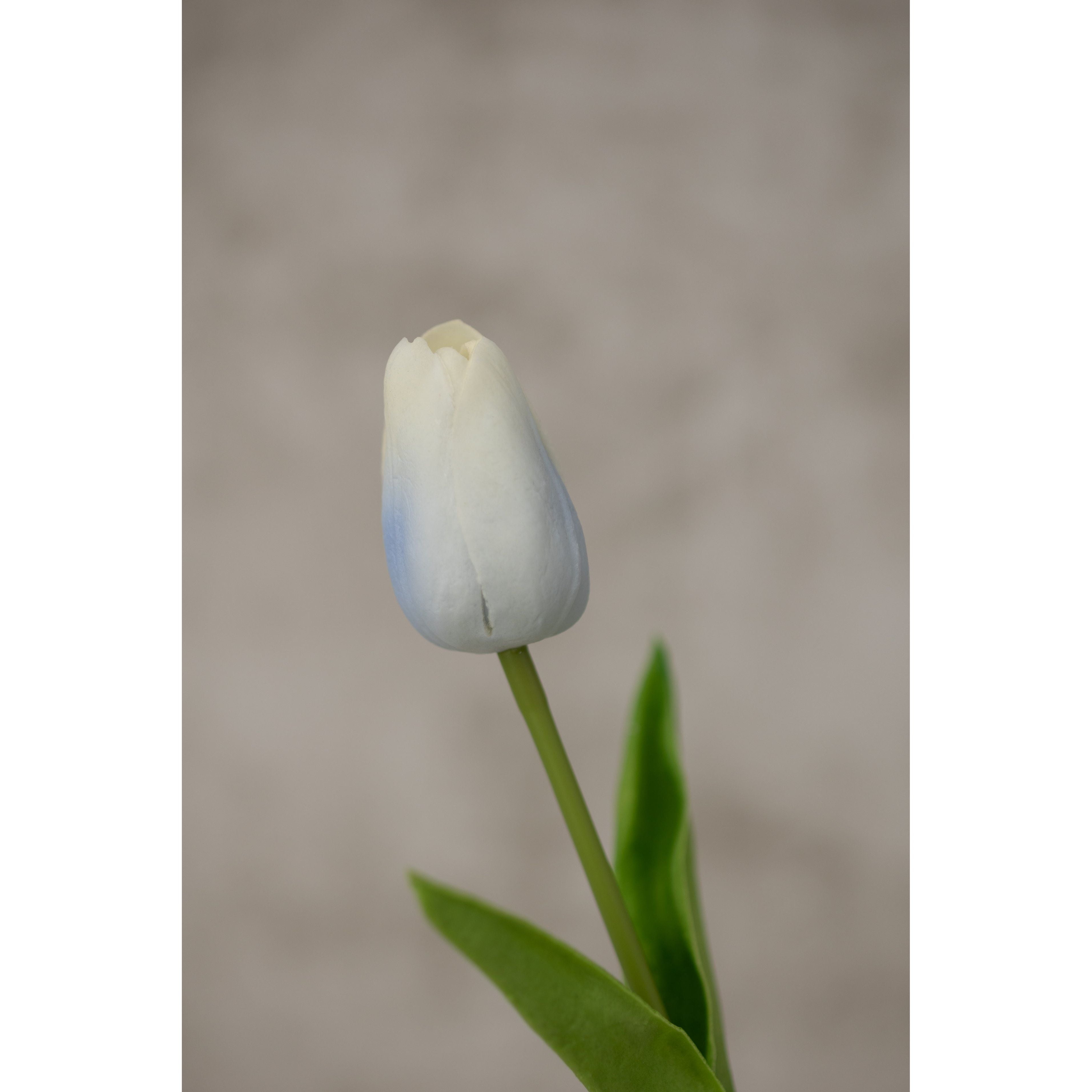 Real Touch Tulip 13.5” Artificial Flora K&K Blue  