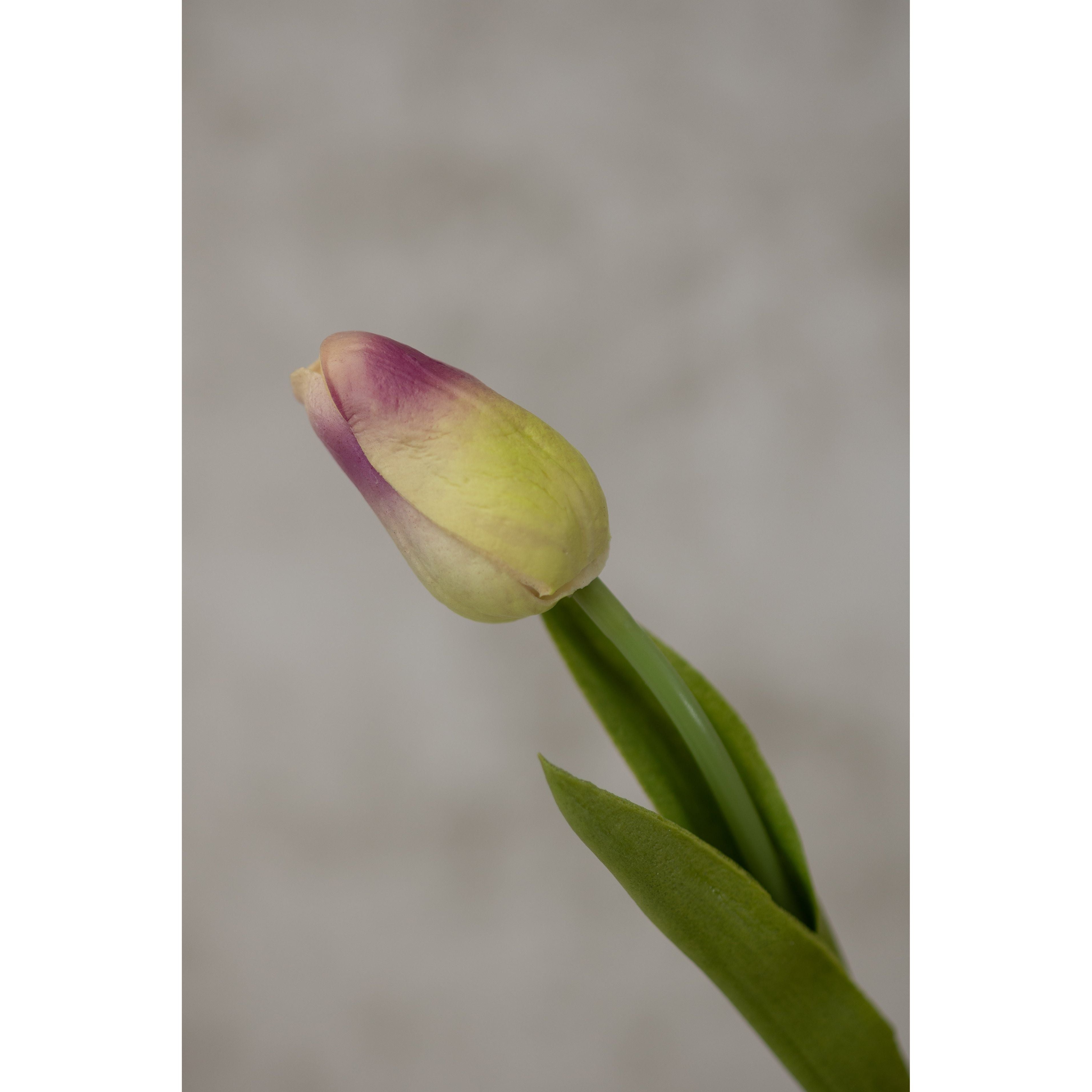 Real Touch Tulip 13.5” Artificial Flora K&K Green Purple  