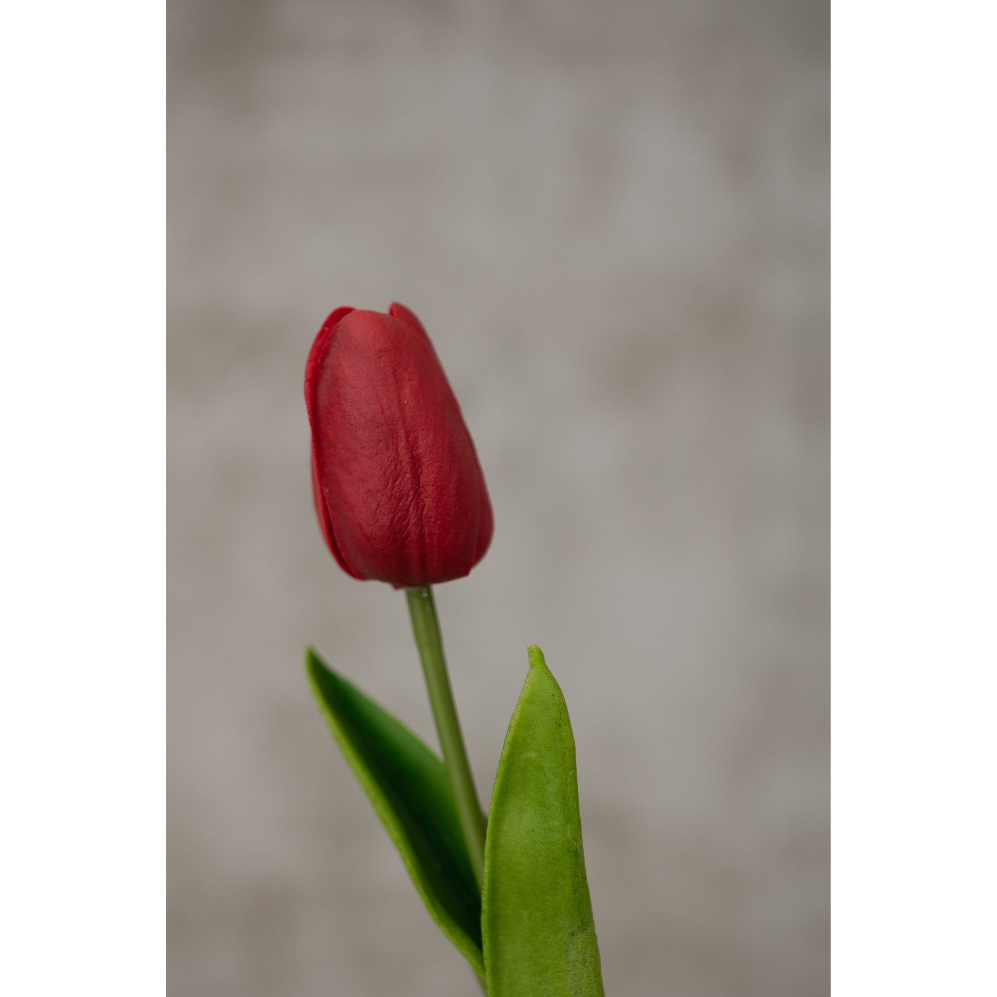 Real Touch Tulip