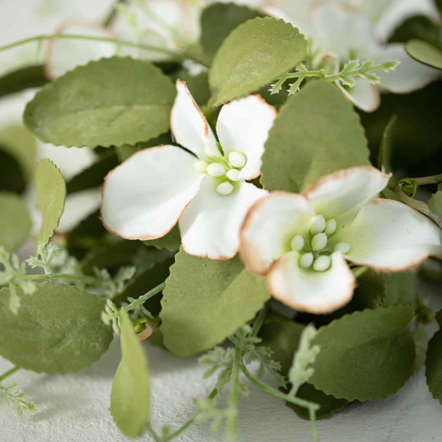 Dogwood Pick  Sullivans   