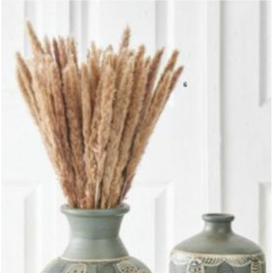 Tan Pampas Grass Bundle Dried Flowers K&K   