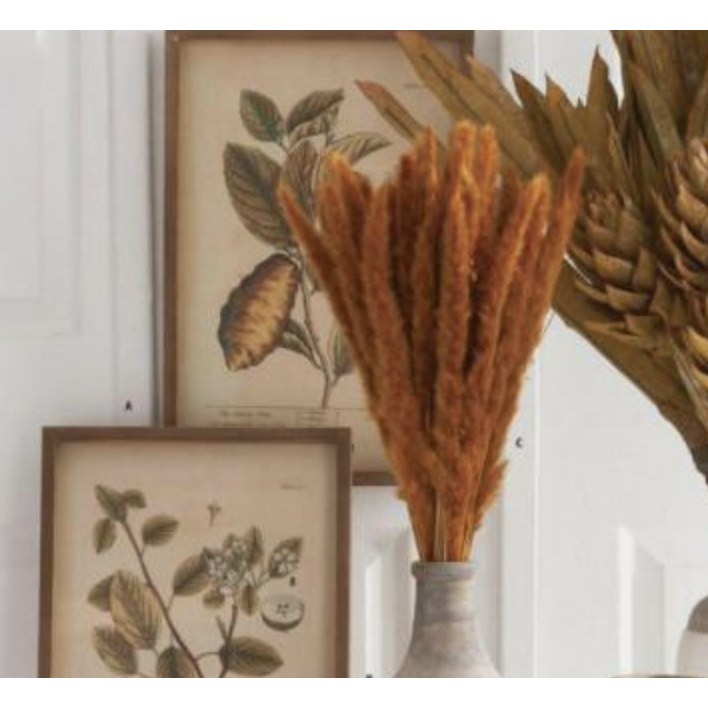 Orange Pampas Grass Bundle Dried Flowers K&K   